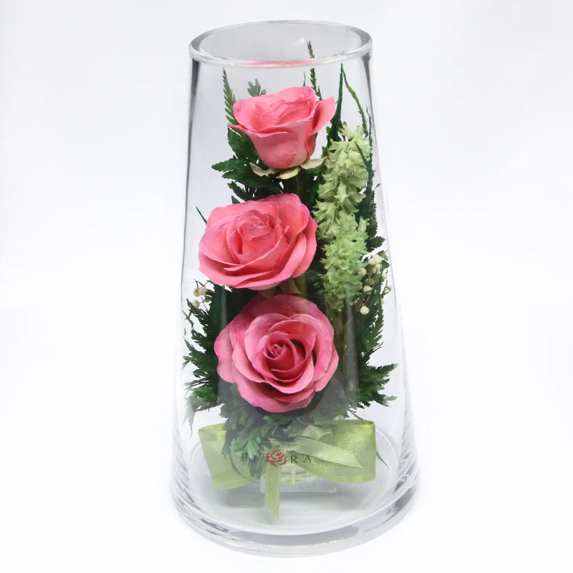 Luxuriously Preserved Pink Roses for Lasting Beauty and Charm