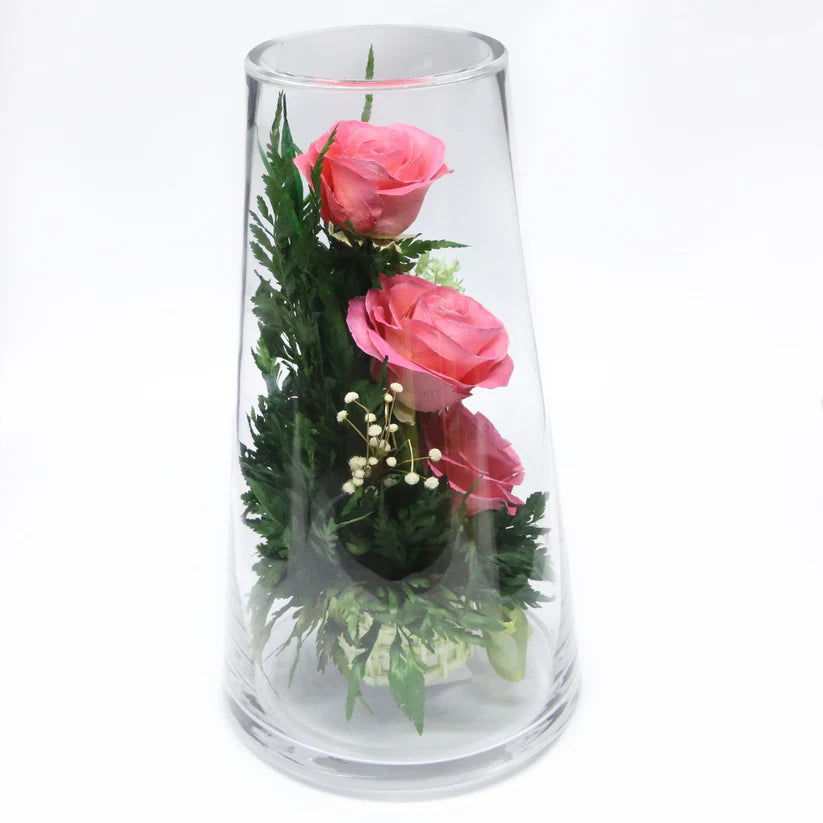 Luxuriously Preserved Pink Roses for Lasting Beauty and Charm