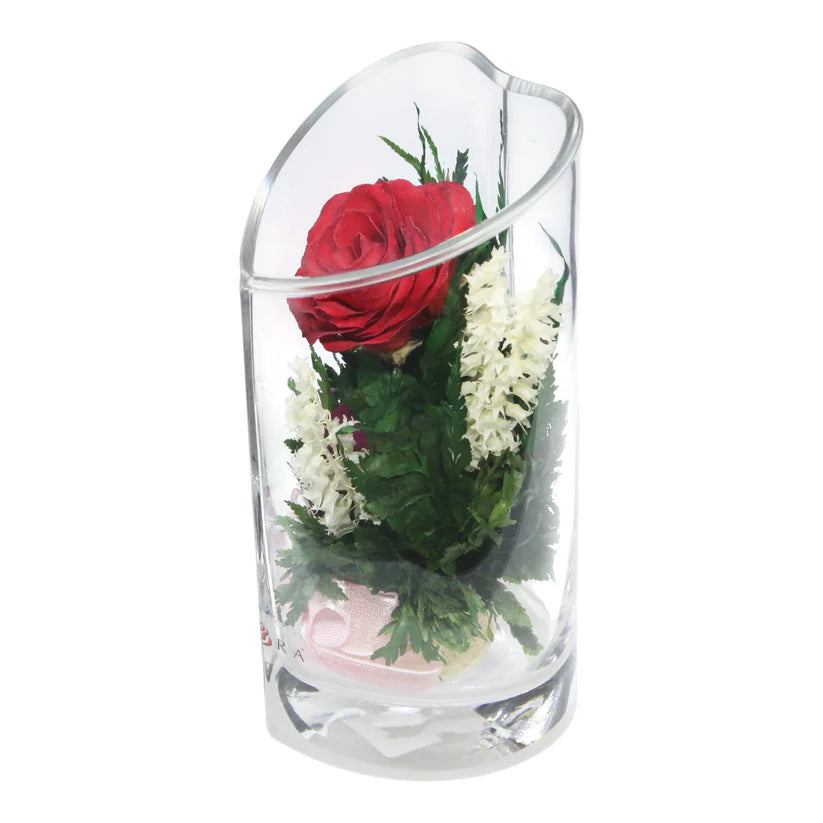 Enduring Romance: Single Red Rose, Beautiful Heart-Shaped Glass Vase