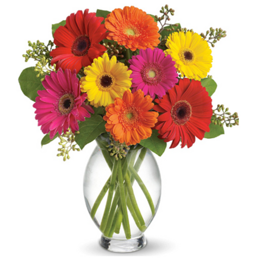 Gerbera Brights Bouquet Daisies, Fresh Foliage & Glass Vase