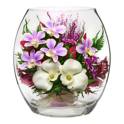 Charming Purple & White Orchids in a Flat Rugby Vase