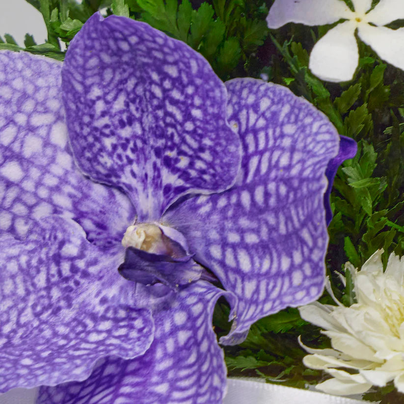 Refined Orchid Bouquet in a Lotus Bud Glass Vase