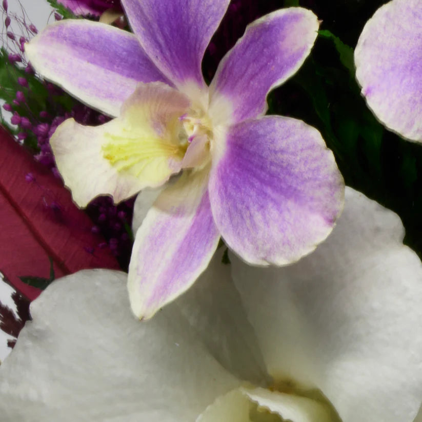 Sophisticated Orchid & Limonium Bouquet in a Rugby Vase