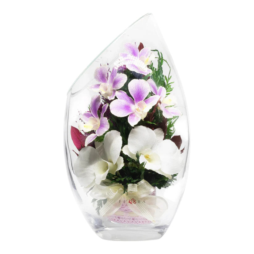 Sophisticated Orchid & Limonium Bouquet in a Rugby Vase