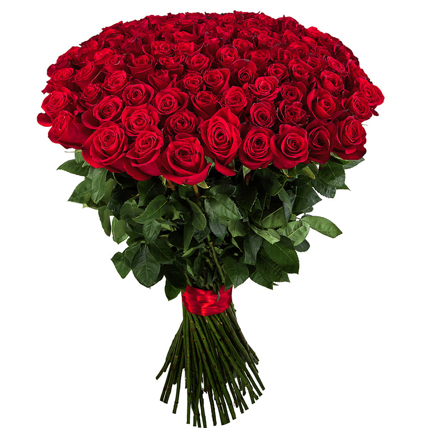 Scarlet Elegance: 12 Red Roses with Elegant Greenery Gift