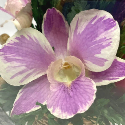 Enduring Roses and Orchids in a Sleek Glass Vase